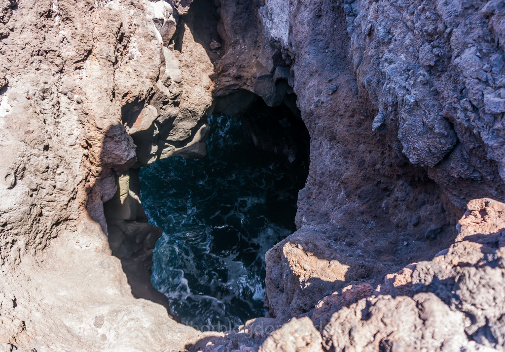 _DSC7448.jpg _DSC7448.jpg