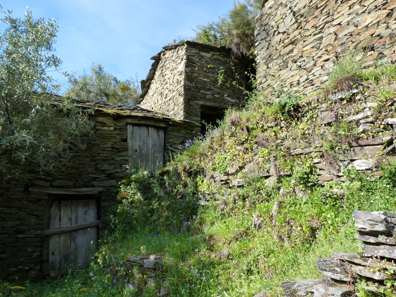 Piódão (7).JPG Piódão (7).JPG