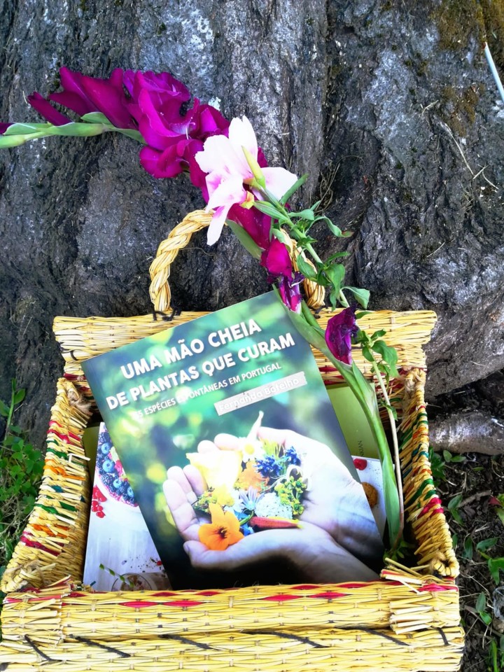 37572971_2273025742725839_4013614012892708864_n.jp