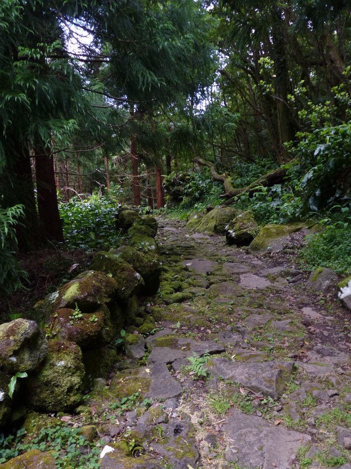 Percurso até ao Poço da Ribeira do Ferreiro - Il