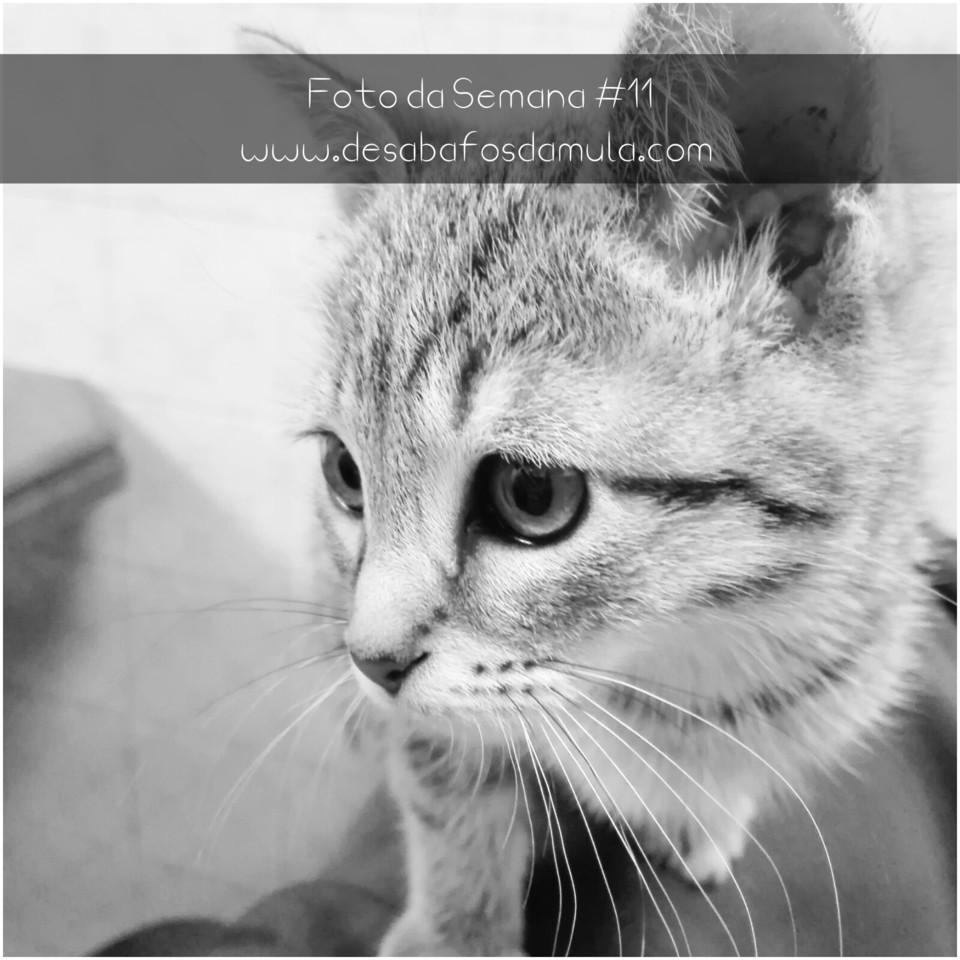 1521289501704.jpg 1521289501704.jpg