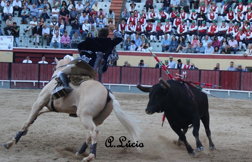 2 francisco palha.jpg