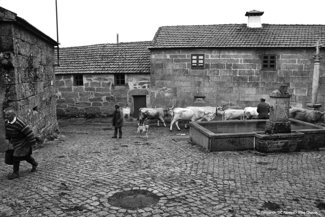 1600-Vilarinho-seco (76).jpg