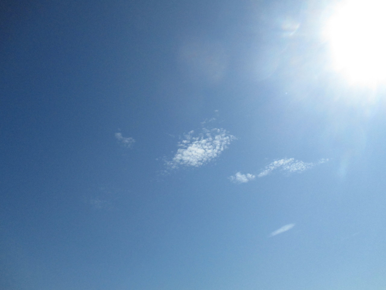 IMG_3054.JPG IMG_3054.JPG