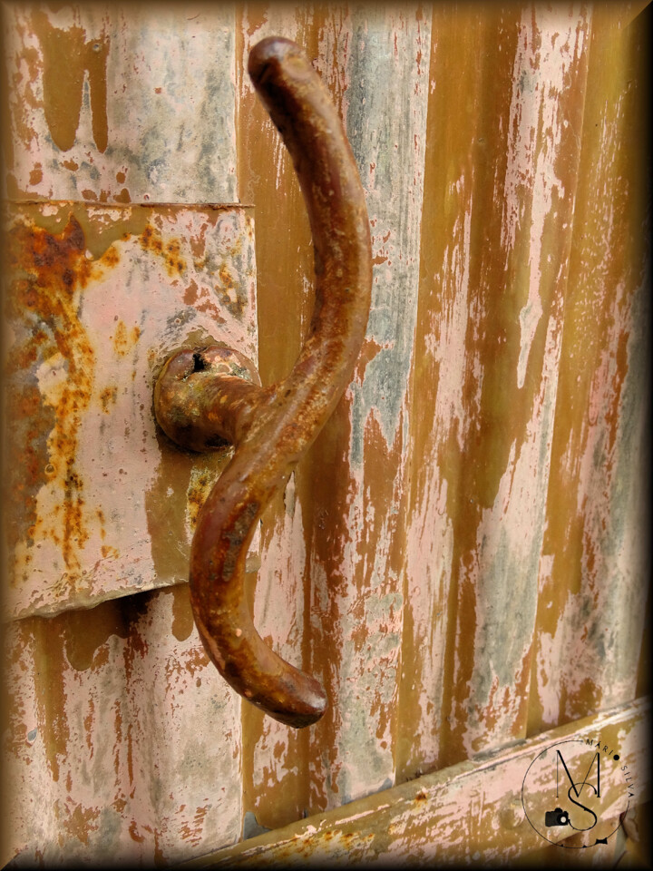 16Jan DSC05367_ms.JPG