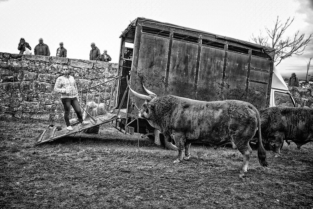 Santos 2015 (1) 033 - Cópia.jpg Santos 2015 (1) 033 - Cópia.jpg