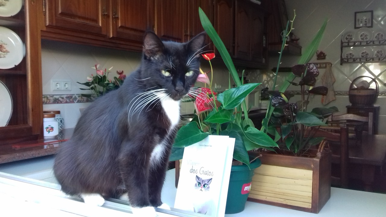 20170730_160018.jpg 20170730_160018.jpg