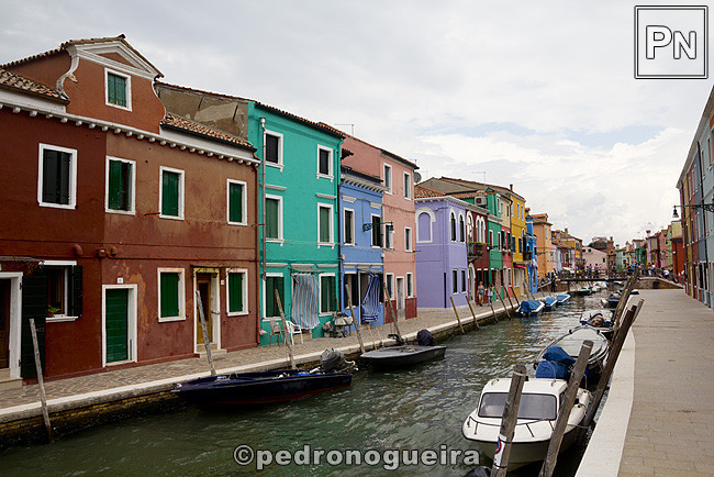 _MG_1167 650px.jpg _MG_1167 650px.jpg