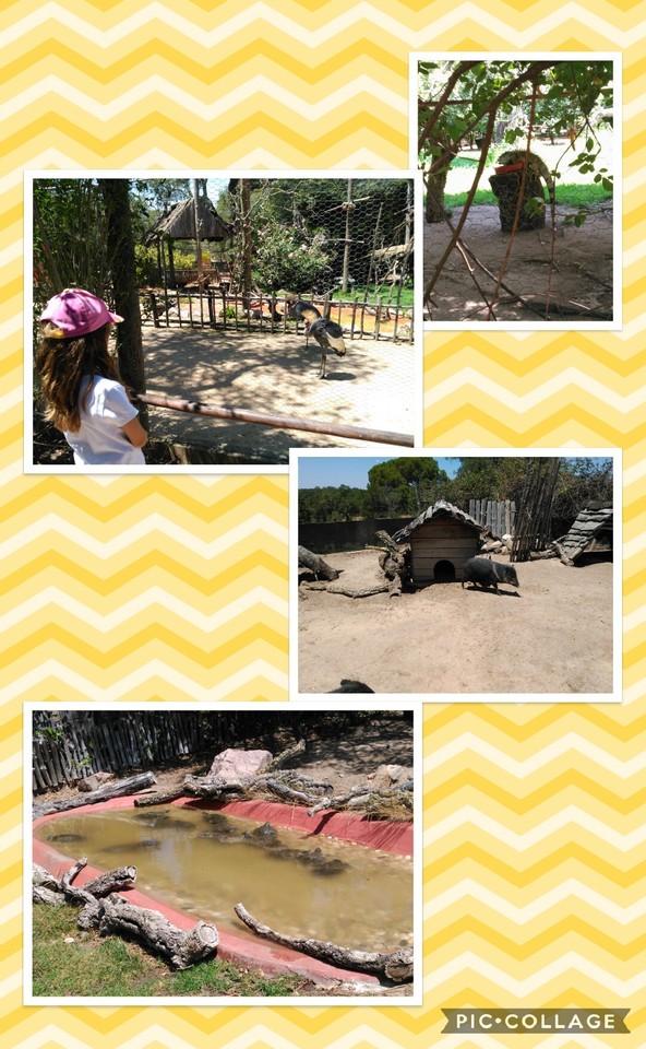 Collage 2017-07-22 23_04_00.jpg Collage 2017-07-22 23_04_00.jpg