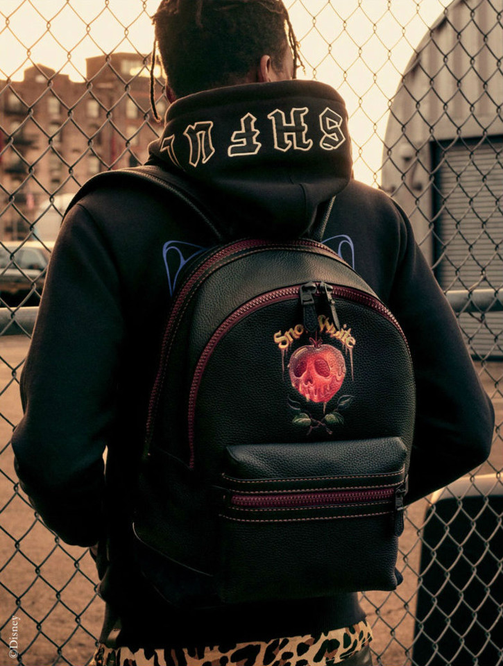 Disney-Coach-2018-Collaboration-008.jpg Disney-Coach-2018-Collaboration-008.jpg