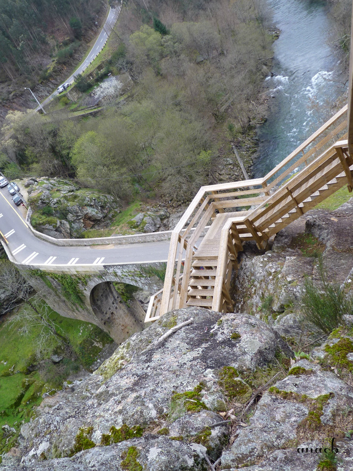 P1410313 cópia assin.jpg