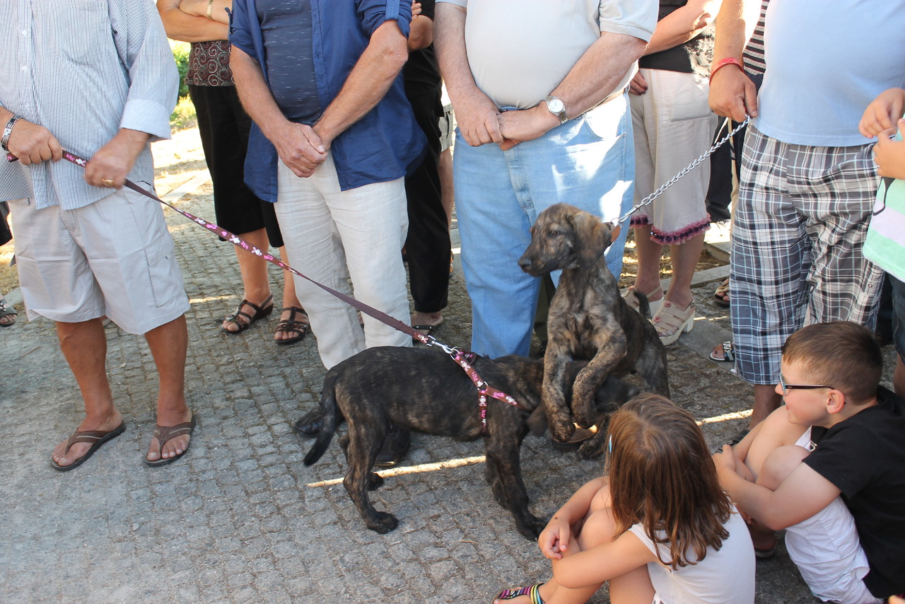 IMG_0587.JPG IMG_0587.JPG