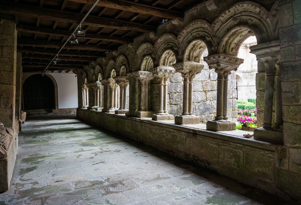 DSC03445.jpg DSC03445.jpg