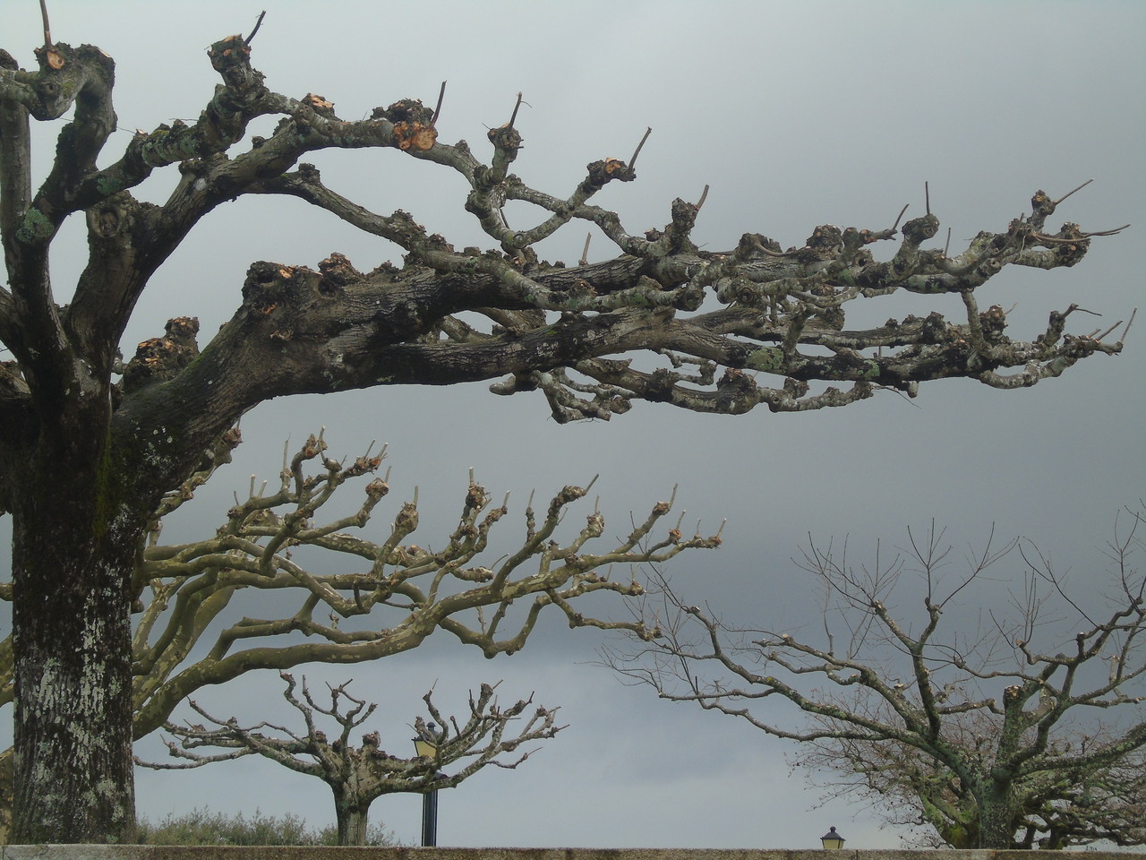 DSC08724.JPG DSC08724.JPG