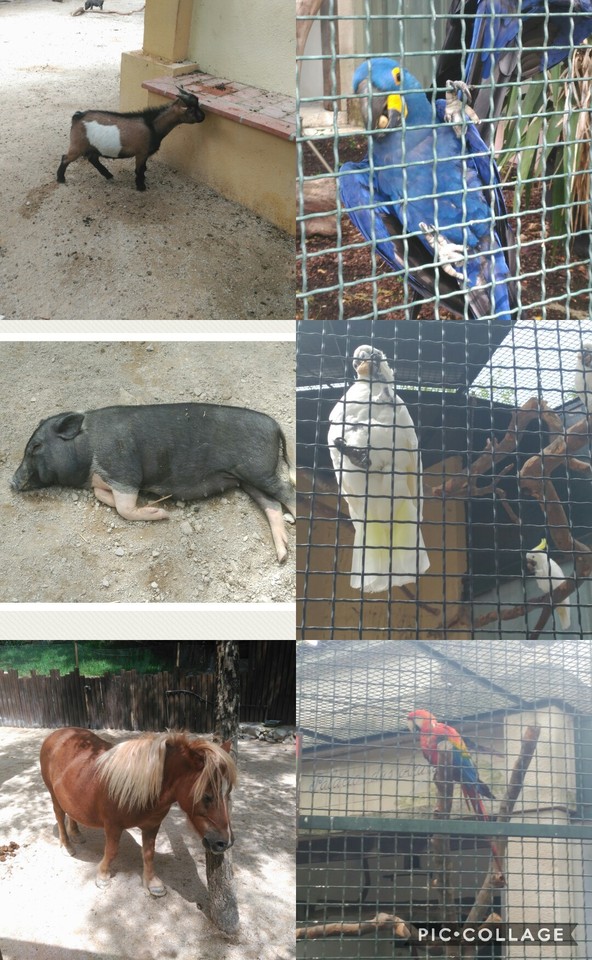 Collage 2017-08-31 23_22_30.jpg