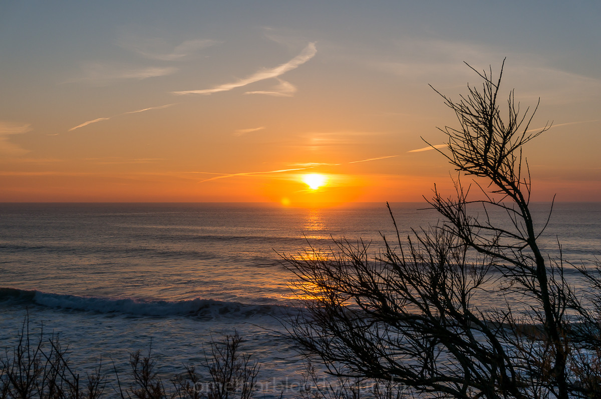 DSC07349.jpg DSC07349.jpg