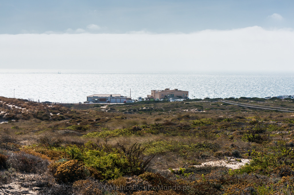 DSC00683.jpg DSC00683.jpg