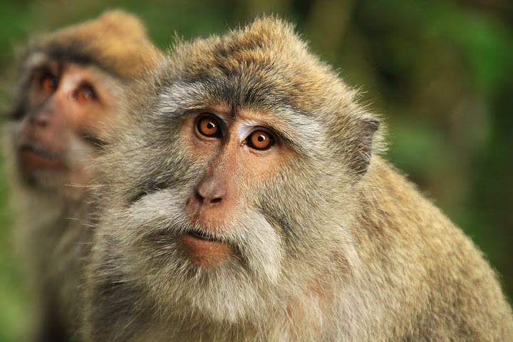 Álbum de fotografias Álbum de fotografias