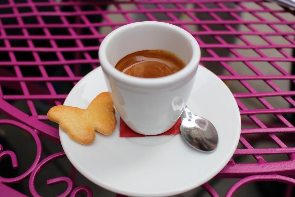 IMG_8109.JPG IMG_8109.JPG