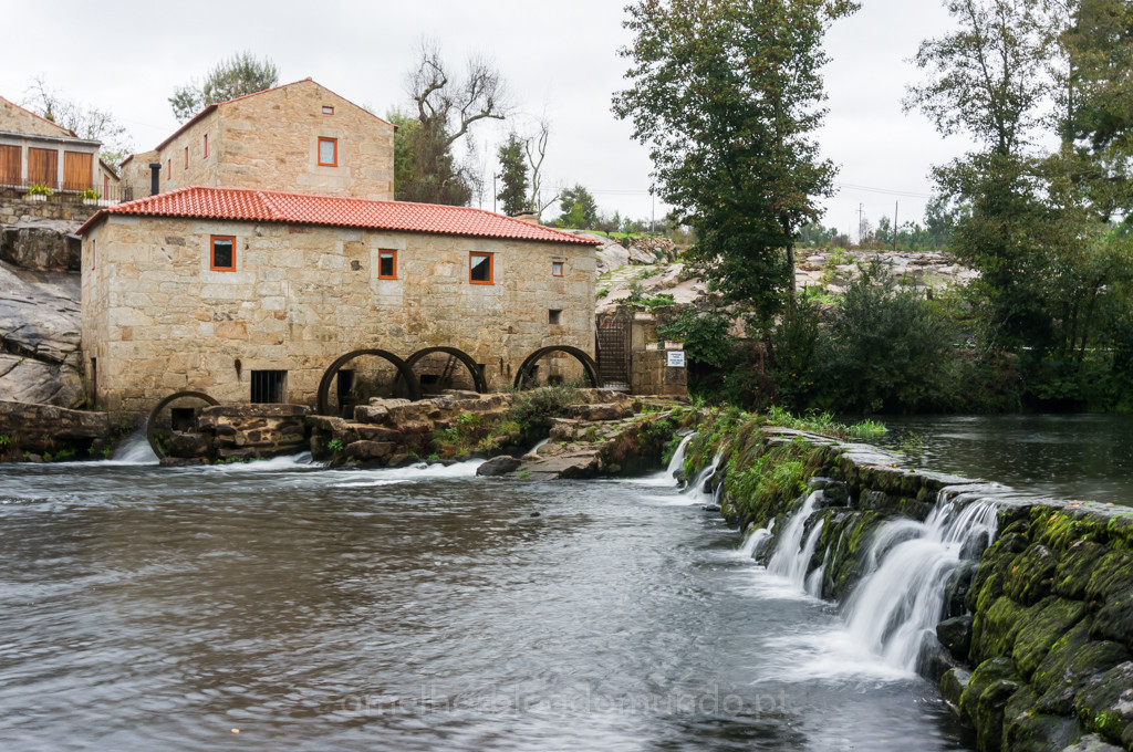 DSC03609.jpg DSC03609.jpg