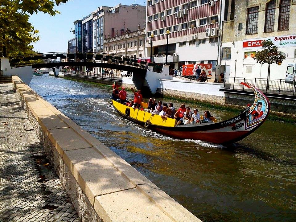 11911806_906149726106815_2043623990_n.jpg 11911806_906149726106815_2043623990_n.jpg