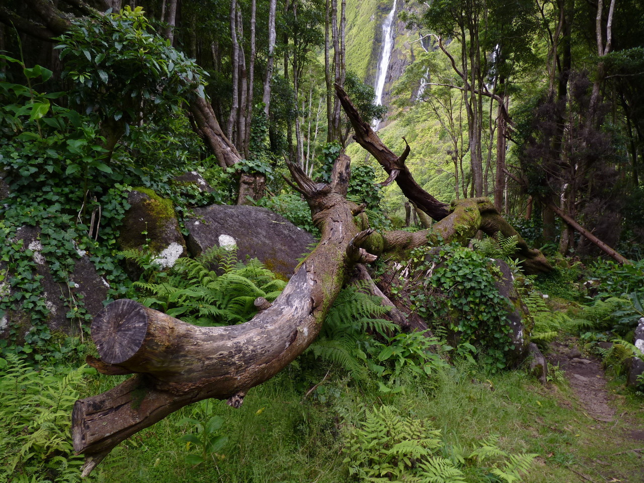 Percurso até ao Poço da Ribeira do Ferreiro - Il