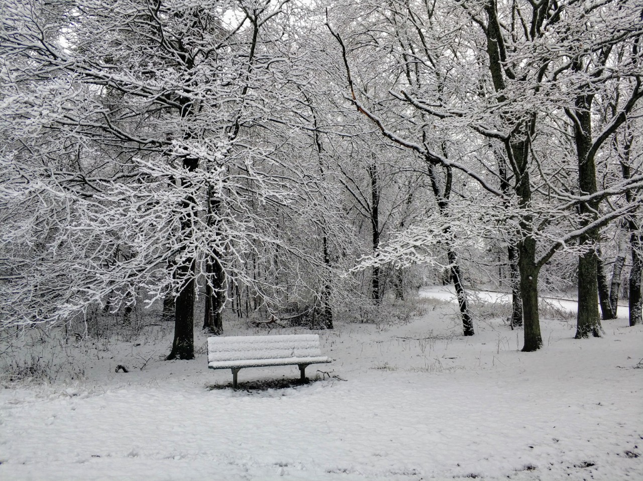 Banco cheio de neve em Estocolmo.jpg