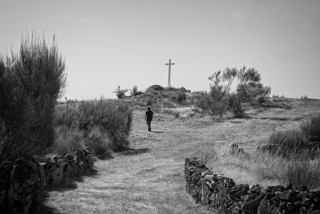 _JMF0561 - cópia 2 copy.jpg