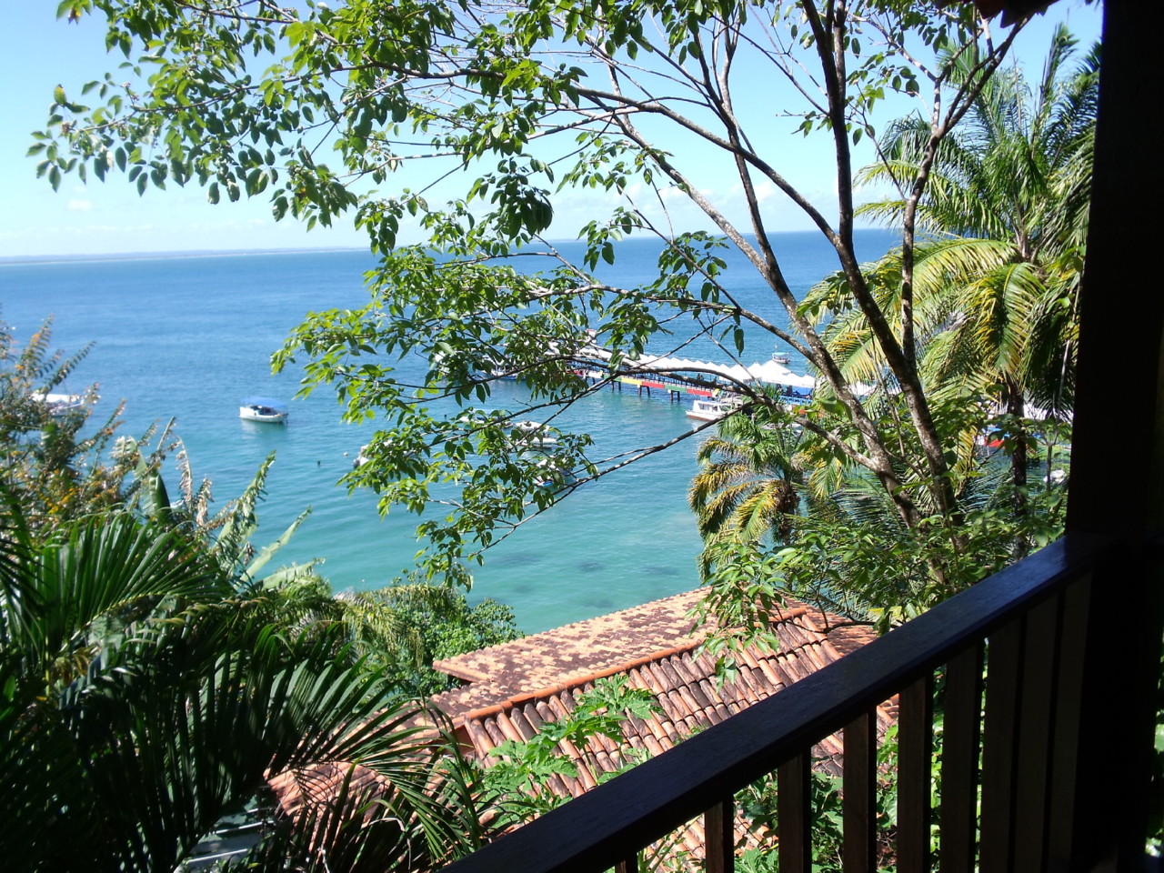 DSCF1524.JPG DSCF1524.JPG