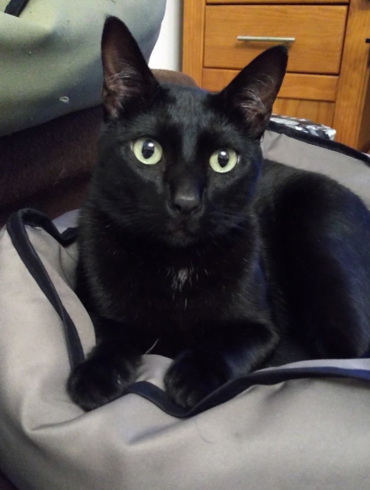 SquarePic_20190508_21150221.jpg SquarePic_20190508_21150221.jpg