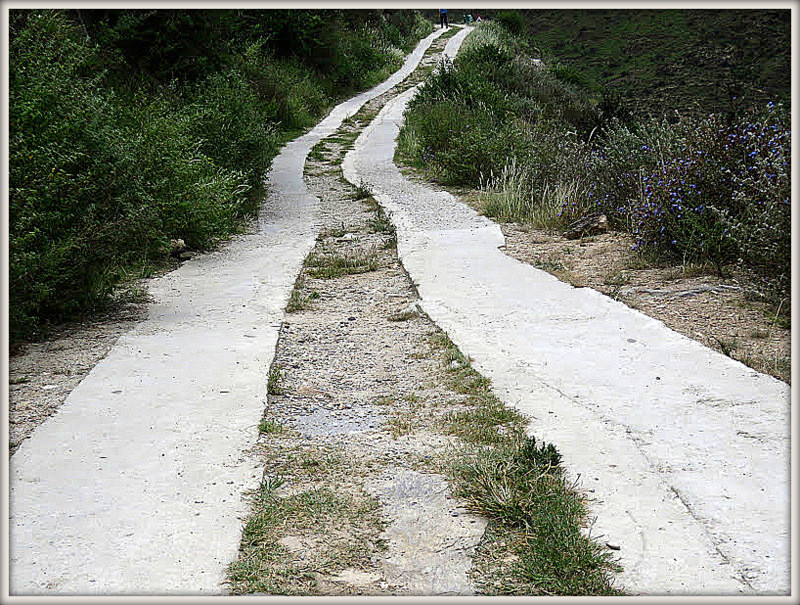 IMG_6526caminho do botão.JPG