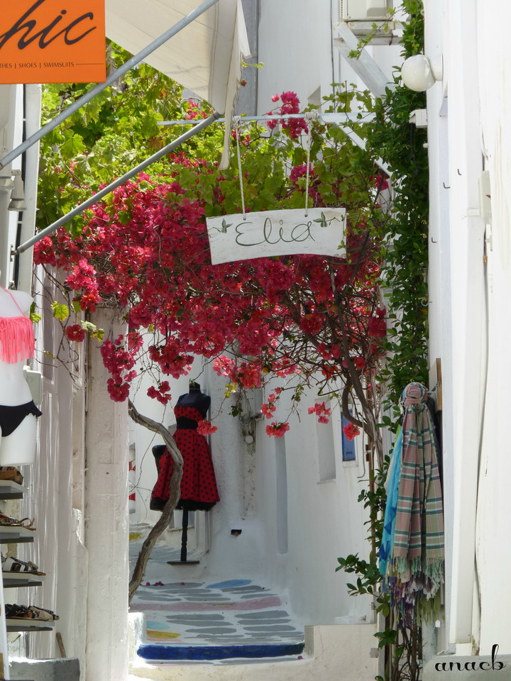 Ios-Chora (2342) cópia assin.jpg