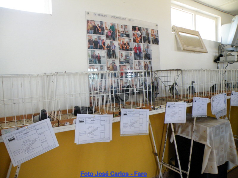 Almodôvar 2017 001.JPG