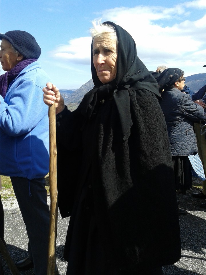 Plantacao500Arvores_3