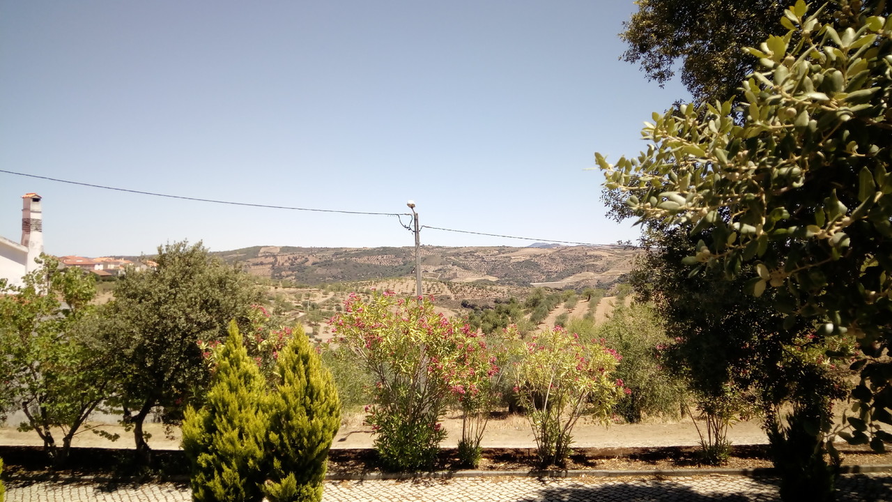 IMG_20170701_133411.jpg IMG_20170701_133411.jpg