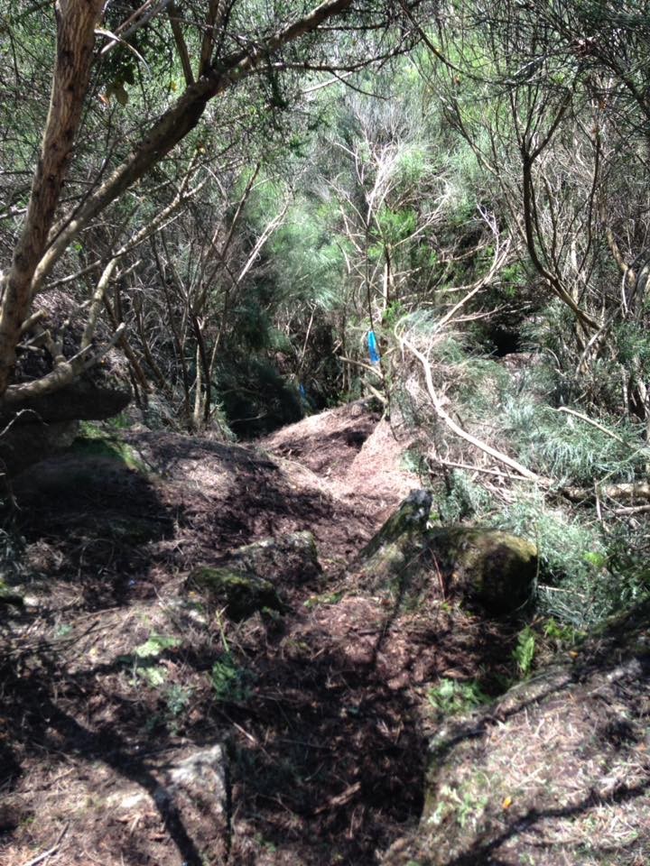 13427952_1228668283817579_2464697620116707086_n.jp