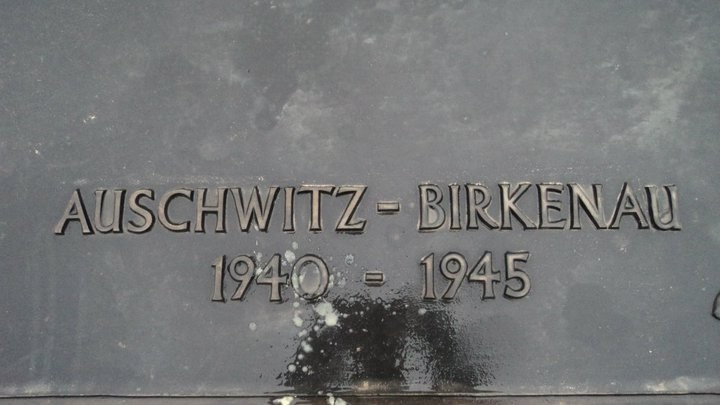 76795_166630700036336_5043868_n.jpg 76795_166630700036336_5043868_n.jpg