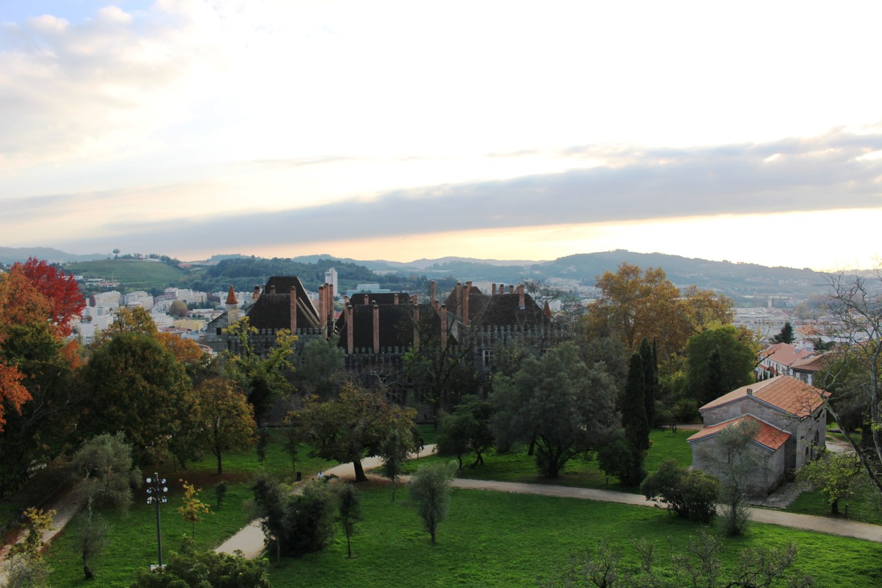 IMG_8556.JPG IMG_8556.JPG