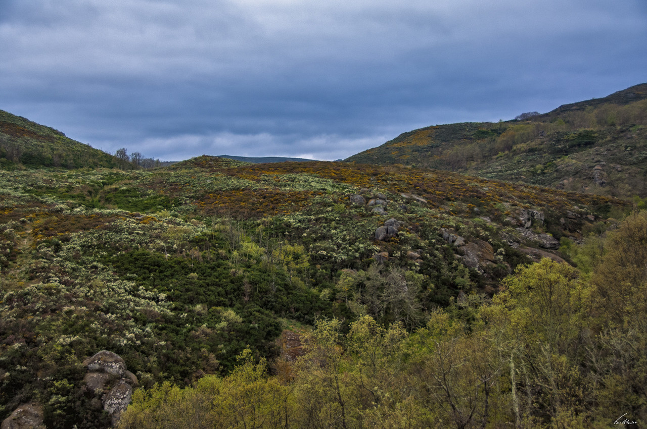 1600-olas (233).jpg 1600-olas (233).jpg