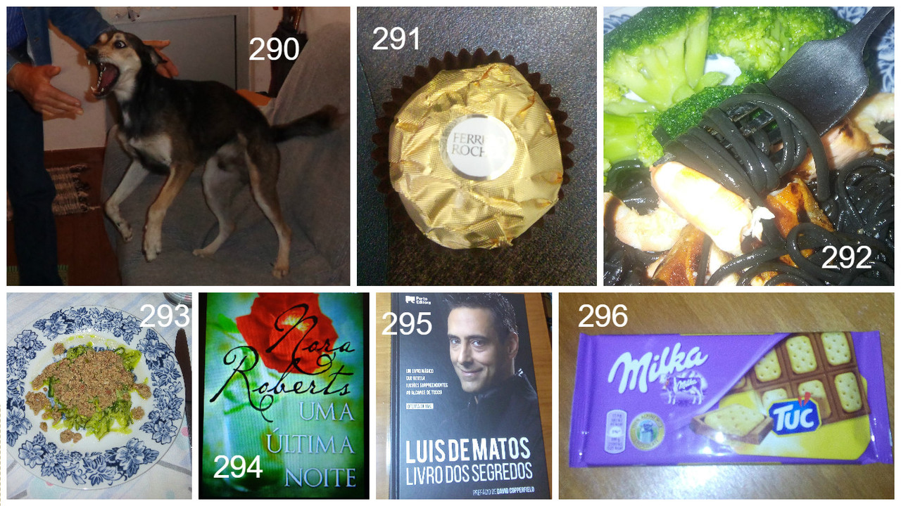 290 a 296.jpg 290 a 296.jpg