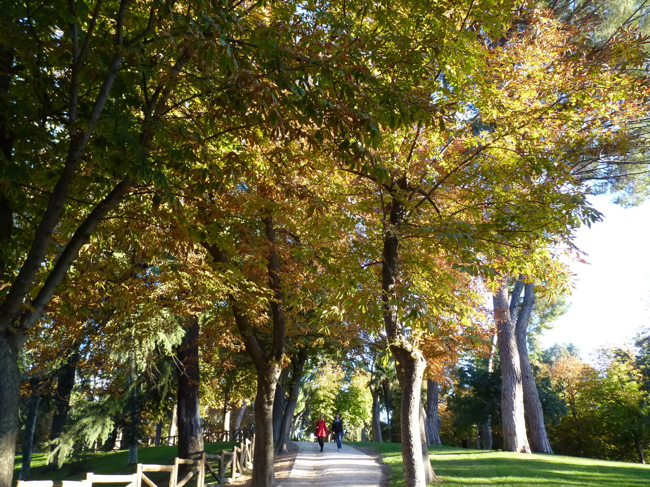 Romântica Madrid-Retiro (3).JPG