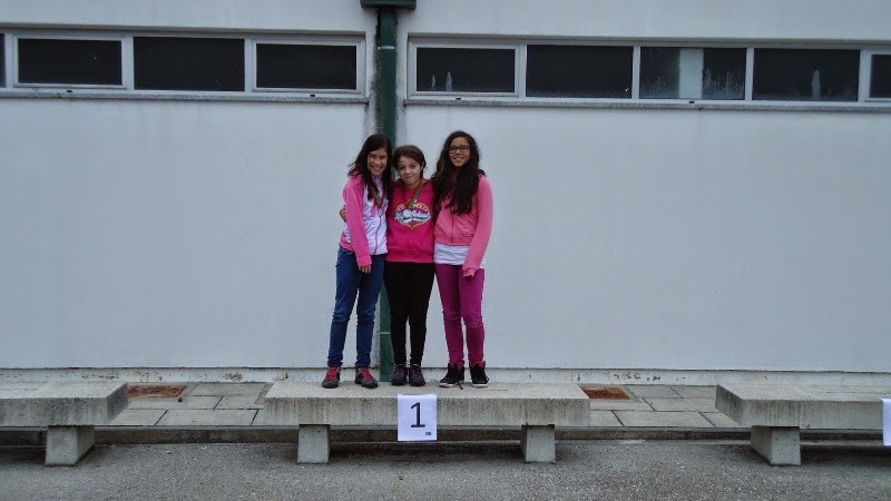 Corta mato 2014 (64).JPG