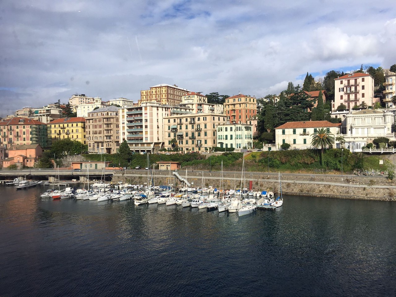 IMG_0187.JPG IMG_0187.JPG