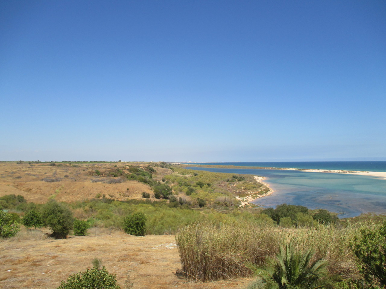 IMG_2472.JPG IMG_2472.JPG