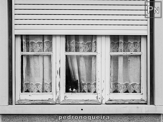 Jun_2023_021 650px.jpg