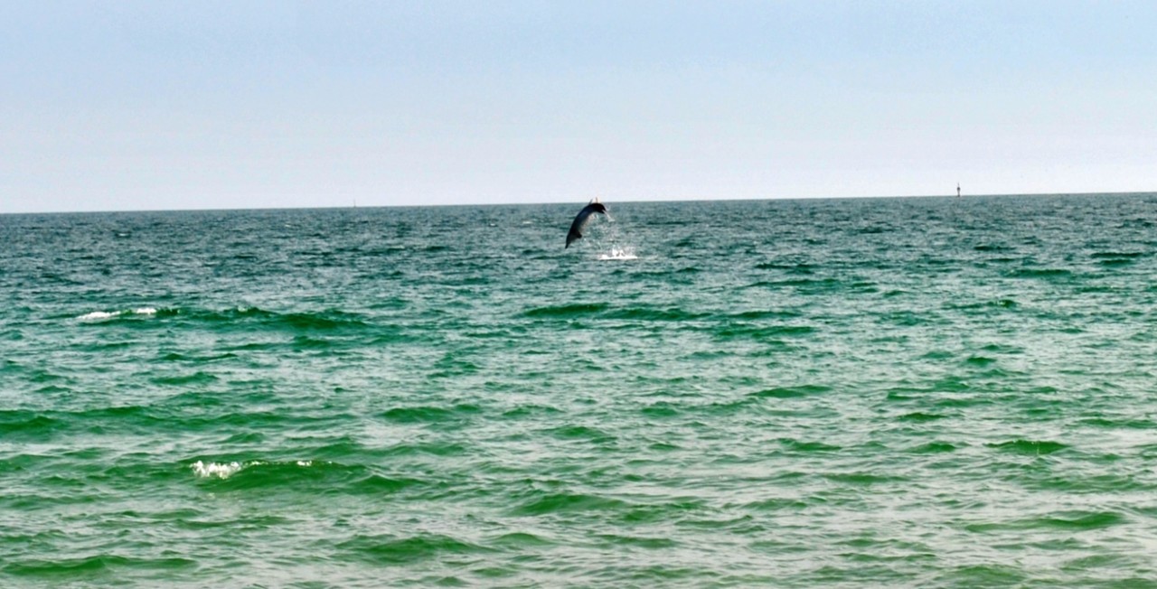 Branca Noiva do Mar 07.JPG