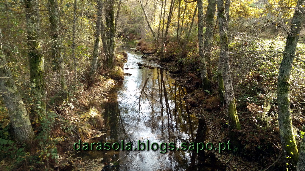 Minas_Queiriga_33.jpg Minas_Queiriga_33.jpg