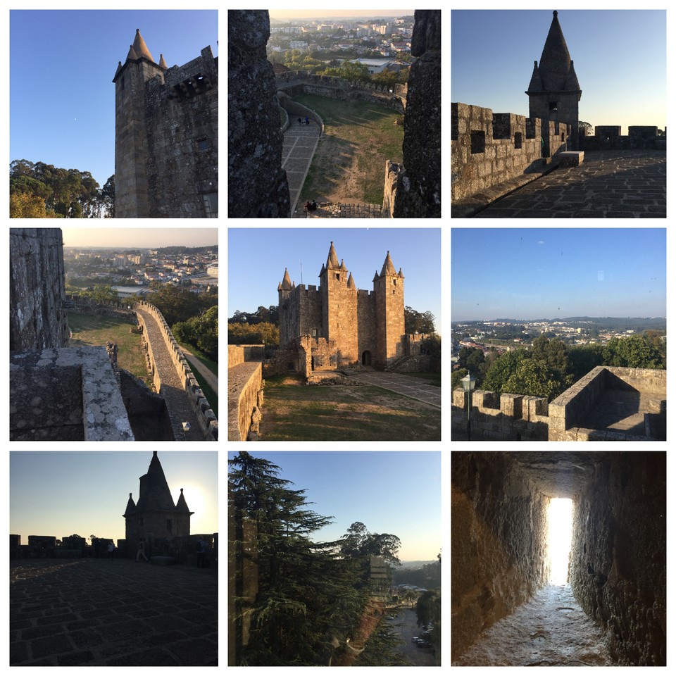 Collage_Fotor.jpg