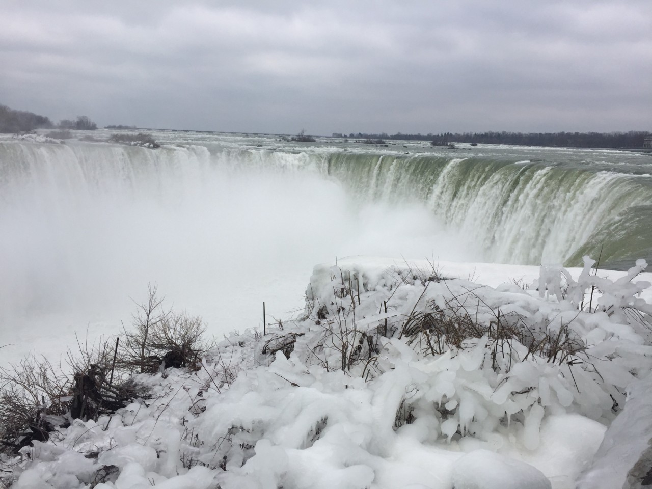 IMG_8741.JPG IMG_8741.JPG