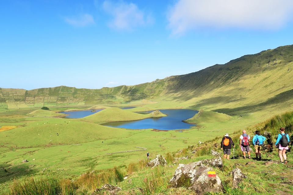 42631849_2155139937830430_5742853977536462848_n.jp